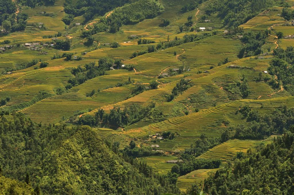 Sapa Lodge エクステリア 写真